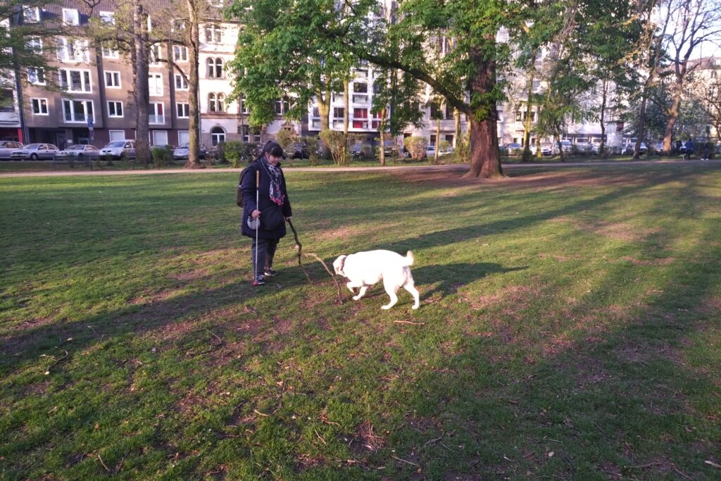 Ein Assistenzhund spielt mit seinem Frauchen in einem Par.