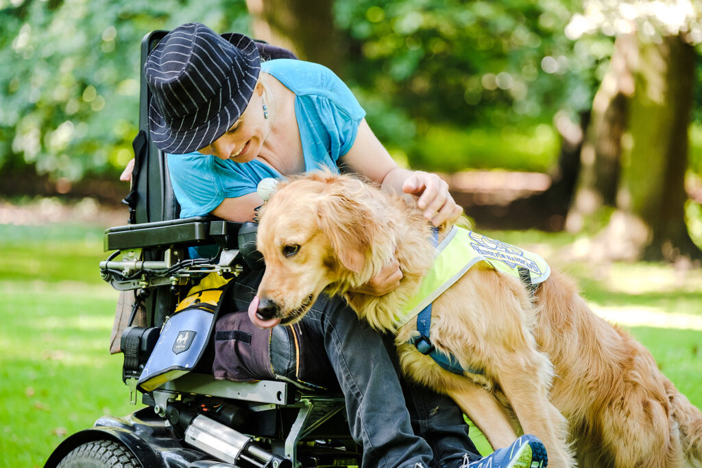 Ein Assistenzhund hilft einem Rollstuhlfahrer